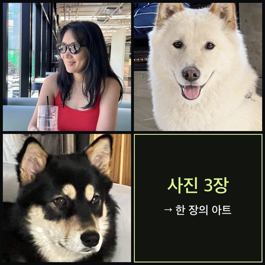 AVVM TEE 입력 — 평범한 사진 3장